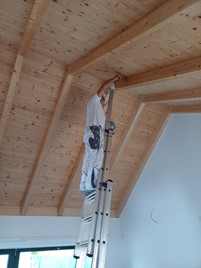 10. Fotka Ukázka práce v sekci galerii Malířství Profi Malby Brno | Petr Lejska