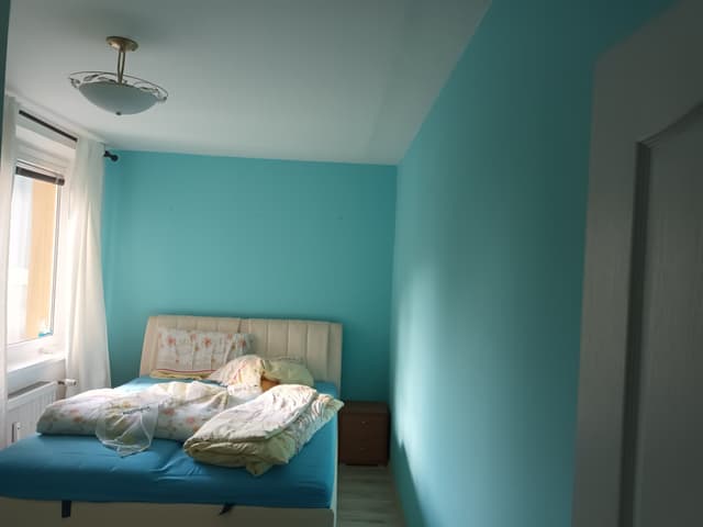 14. Fotka Ukázka práce v sekci galerii Malířství Profi Malby Brno | Petr Lejska