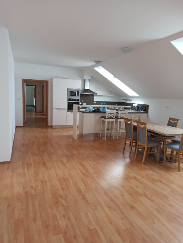 15. Fotka Ukázka práce v sekci galerii Malířství Profi Malby Brno | Petr Lejska