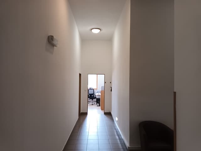 27. Fotka Ukázka práce v sekci galerii Malířství Profi Malby Brno | Petr Lejska