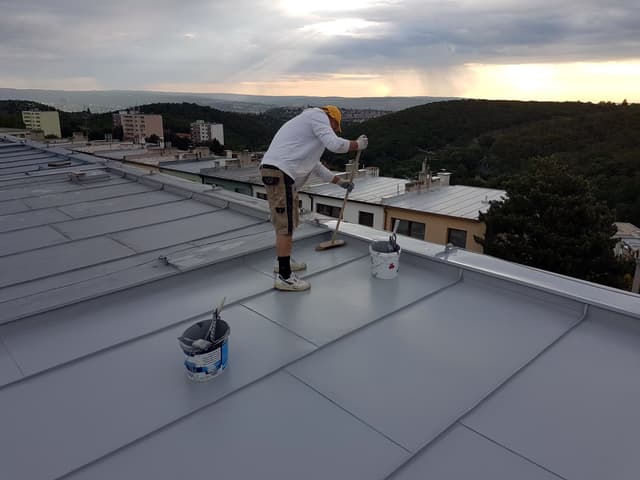 30. Fotka Ukázka práce v sekci galerii Malířství Profi Malby Brno | Petr Lejska