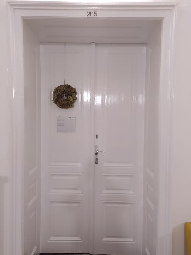 32. Ukázka práce v sekci galerii Malířství Profi Malby Brno | Petr Lejska