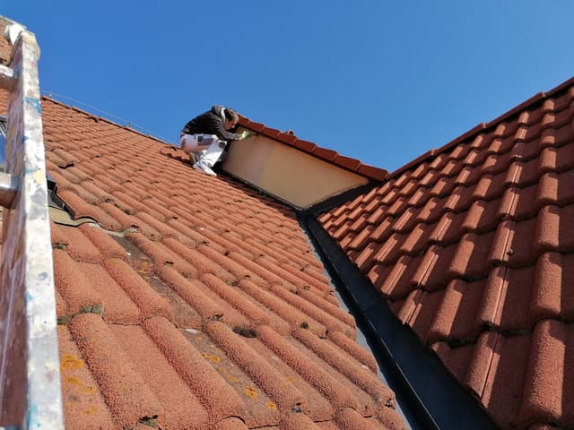 39. Ukázka práce v sekci galerii Malířství Profi Malby Brno | Petr Lejska