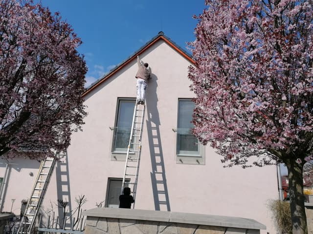 40. Ukázka práce v sekci galerii Malířství Profi Malby Brno | Petr Lejska