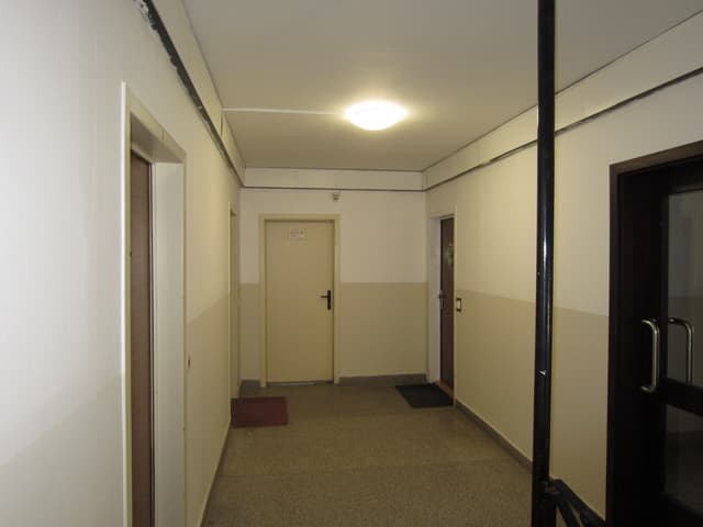 61. Ukázka práce v sekci galerii Malířství Profi Malby Brno | Petr Lejska