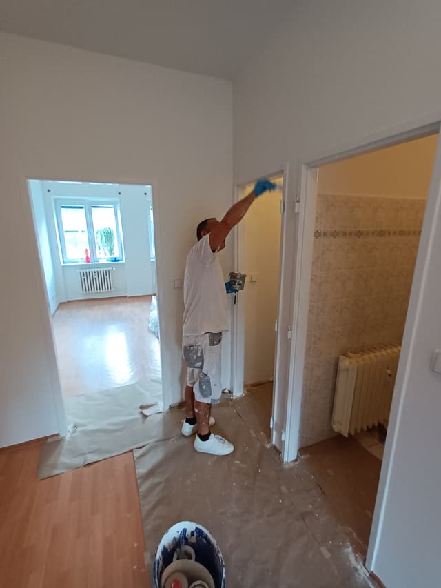 66. Ukázka práce v sekci galerii Malířství Profi Malby Brno | Petr Lejska