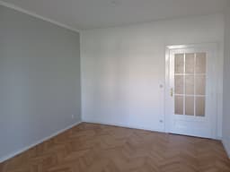 Ukázka nátěru dveří Brno foto 5. Malířské a natěračské práce Brno a okolí - Profimalby - Petr Lejska